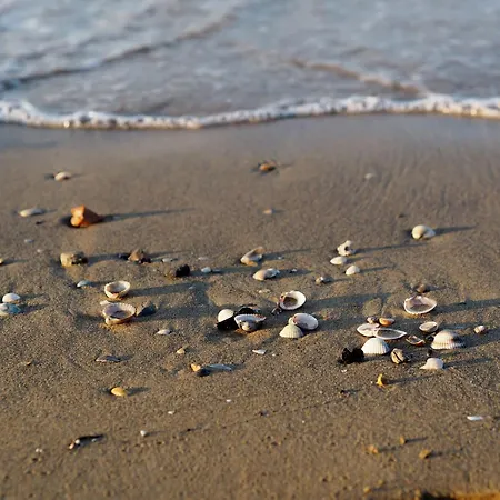 公寓 Modern Front *