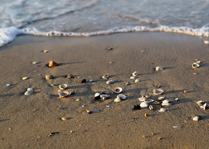 Lejlighed Modern Front *